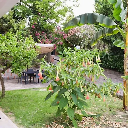 Holiday home Mimosa