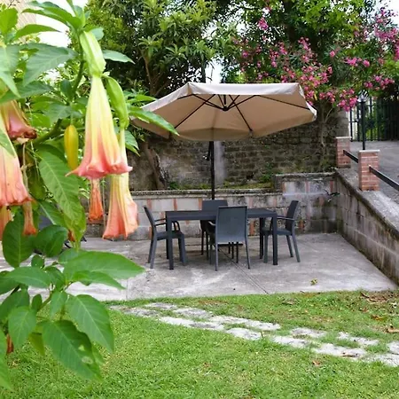 Mimosa Holiday home Ripi